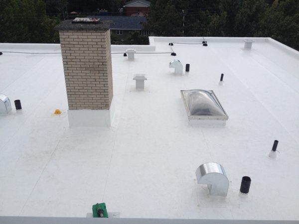 TPO Commercial Roof